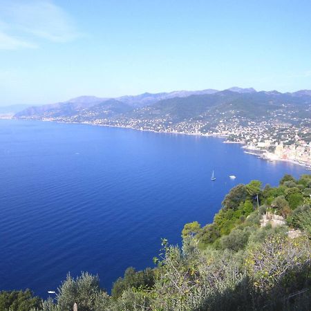 Portofino Mountain Unique Love Nest San Rocco  Εξωτερικό φωτογραφία