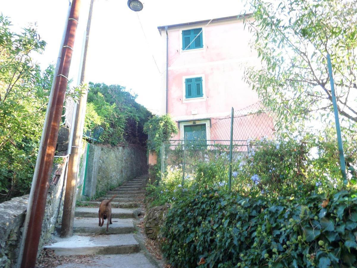 Portofino Mountain Unique Love Nest San Rocco  Εξωτερικό φωτογραφία
